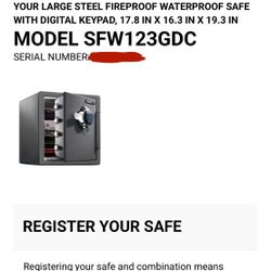 Sentry Safe (Must Buy New Key)