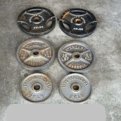 Olympic Weights Plates   210 lbs