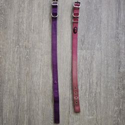 #Dog Collars
