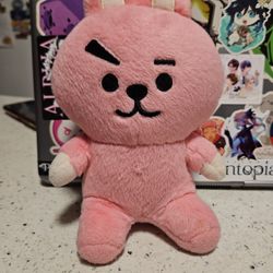 BTS Cooky 
