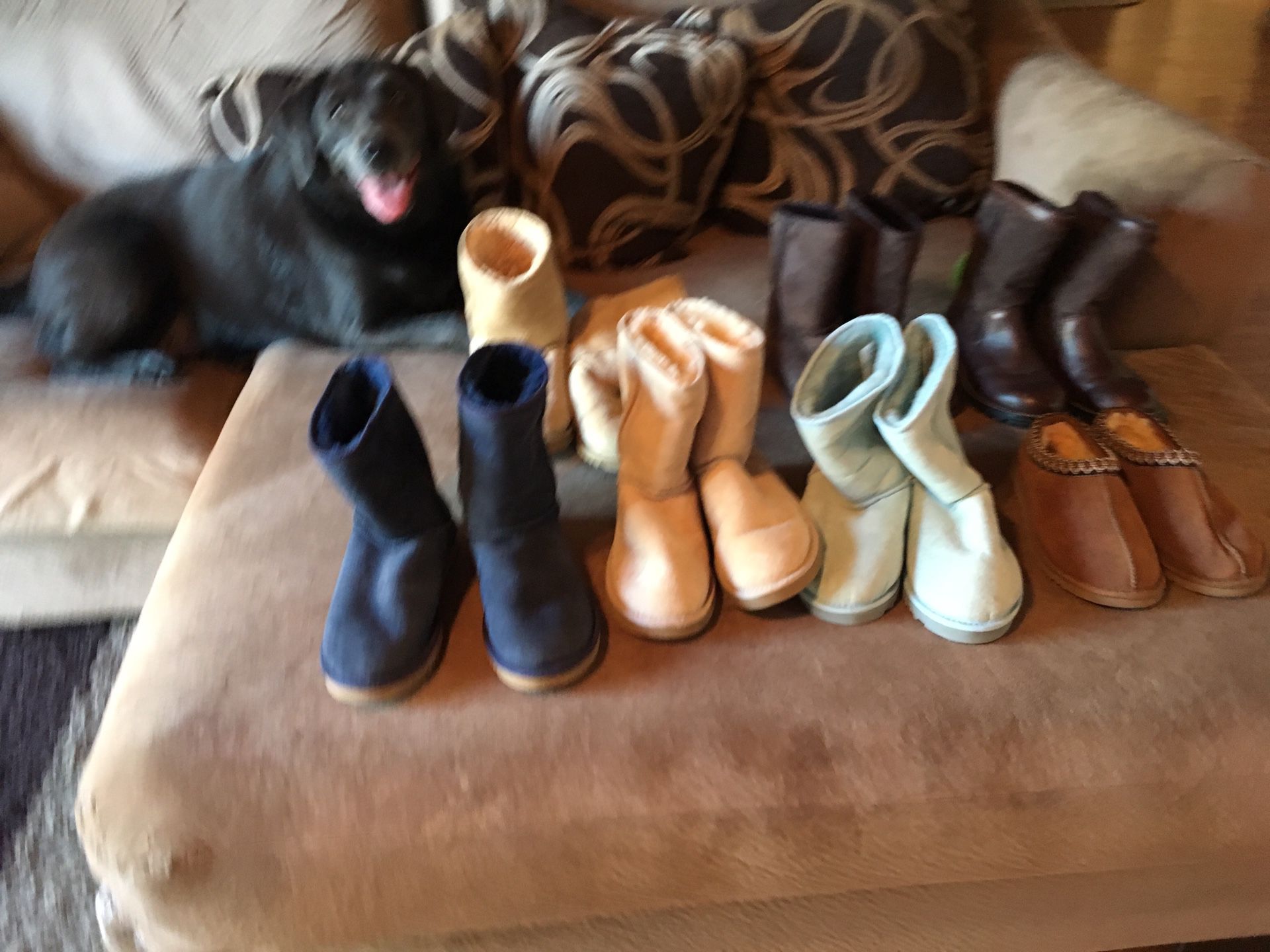 Brand new size 6 and 7 ugg boots and slippers . 5 pairs never worn regular style 1 slippers I with leather