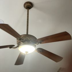 Fan
