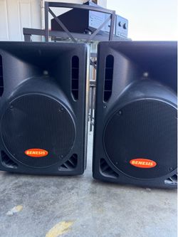 DJ speakers (pair)
