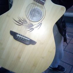 Acoustic Electric Guitar 