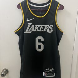 Nike Lakers LeBron James Select Series Jersey Size M