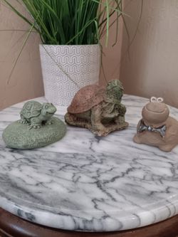 $14 🐢 Set of 3 Fun Turtles 