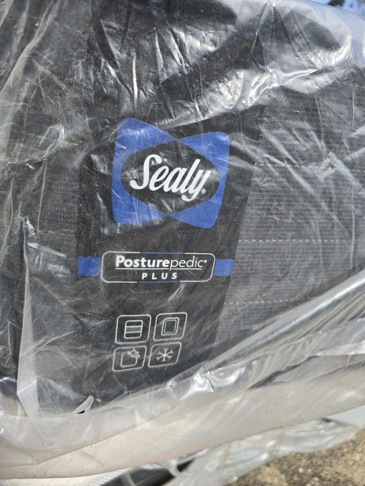 Queen Size Brand New Matress With Boxpring Free Delivery