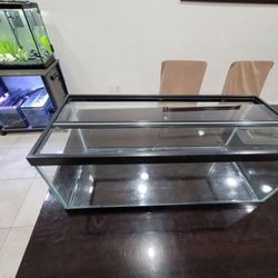 20 Gallon Fish Tank