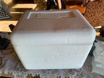 Medium Sized Disposable Cooler w/ Ice Packa