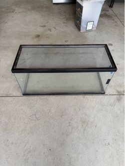 Reptile tank