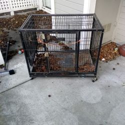 Large Dog Kennel