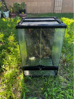 reptile tank