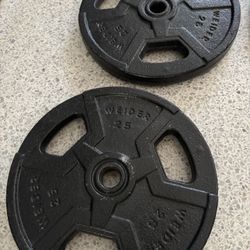 25lb Weider Weight Plate Set Of 2