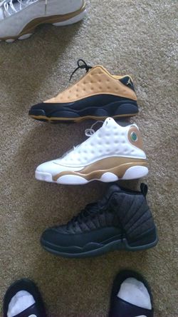 Dmp 13