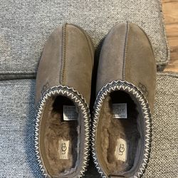 Tasman Uggs