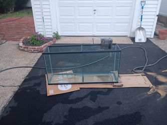 40gal Aquarium