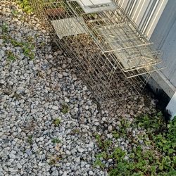 Cage Pe$t Relocation