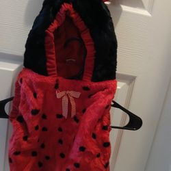Ladybug 12/24 Month