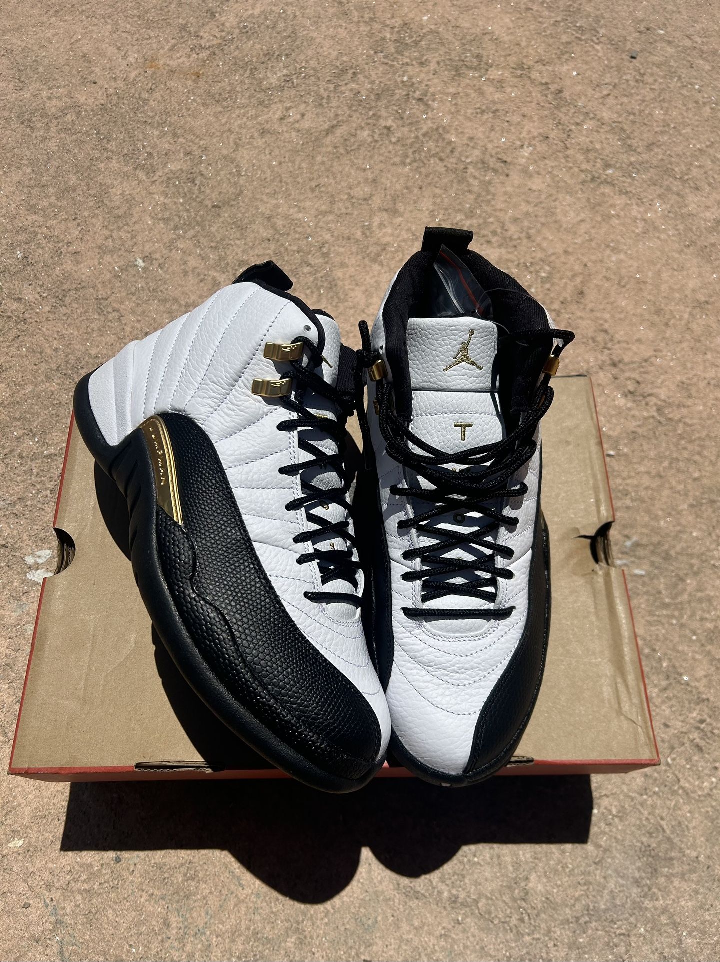 Royalty Jordan 12s Size 9
