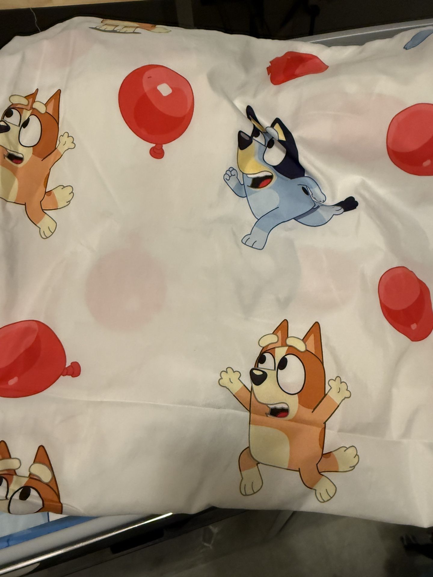 Bluey Twin Bed Comforter 5 Piece Set