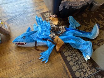 Dragon costume in excellent condition  for a 10 year old  or younger