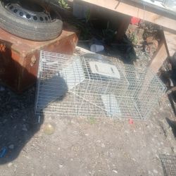 Trap Cage 