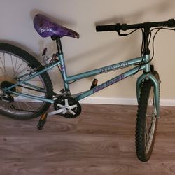 26" Girls Mountain Bike