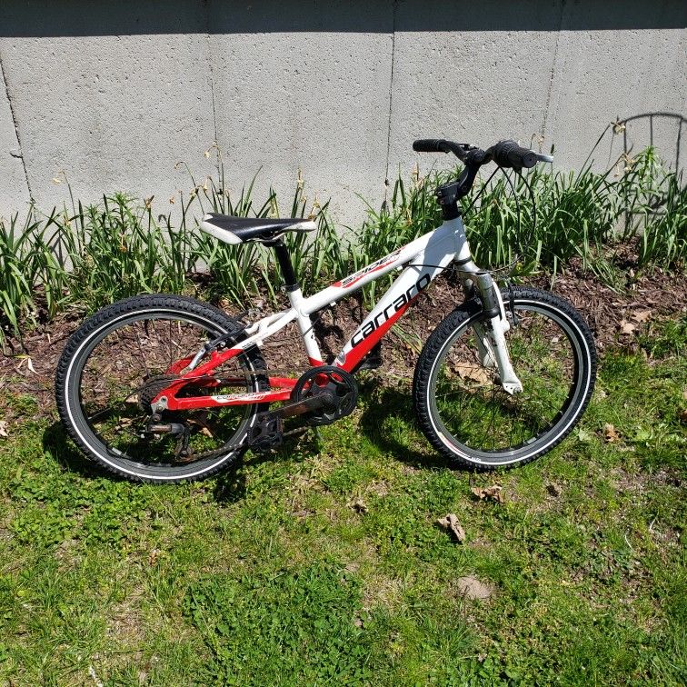 20" Bike With Gears