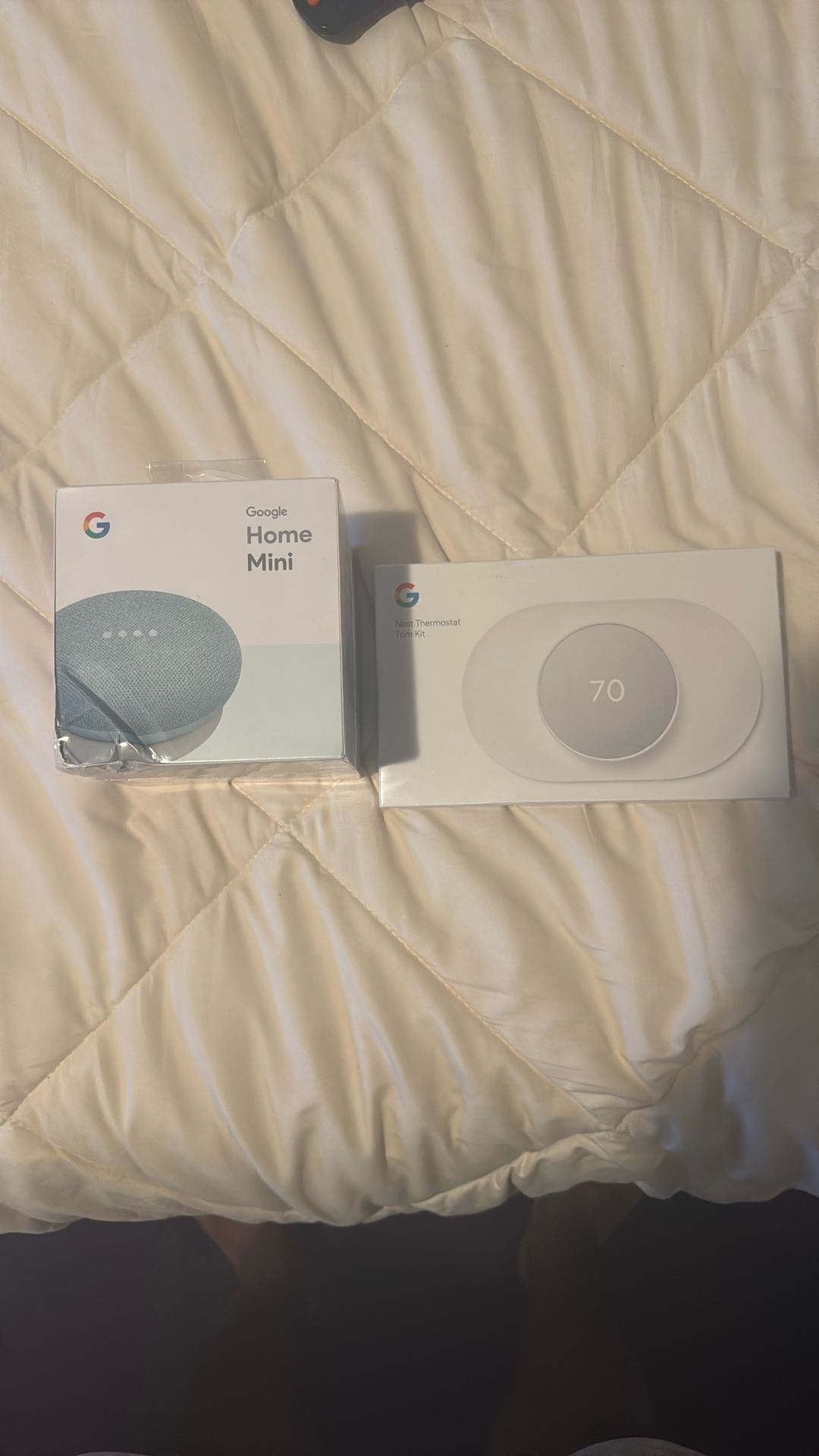 Google Home And Nest Thermostat