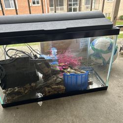 fish tank 