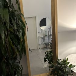 Heavy Duty Full Body Gold Mirror 