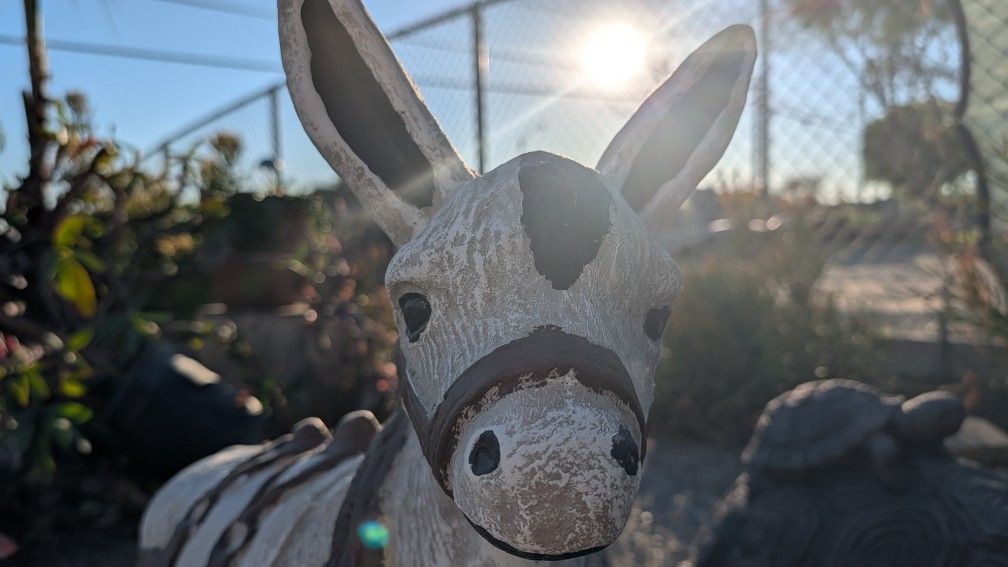 Estatua de burro / Burrito 