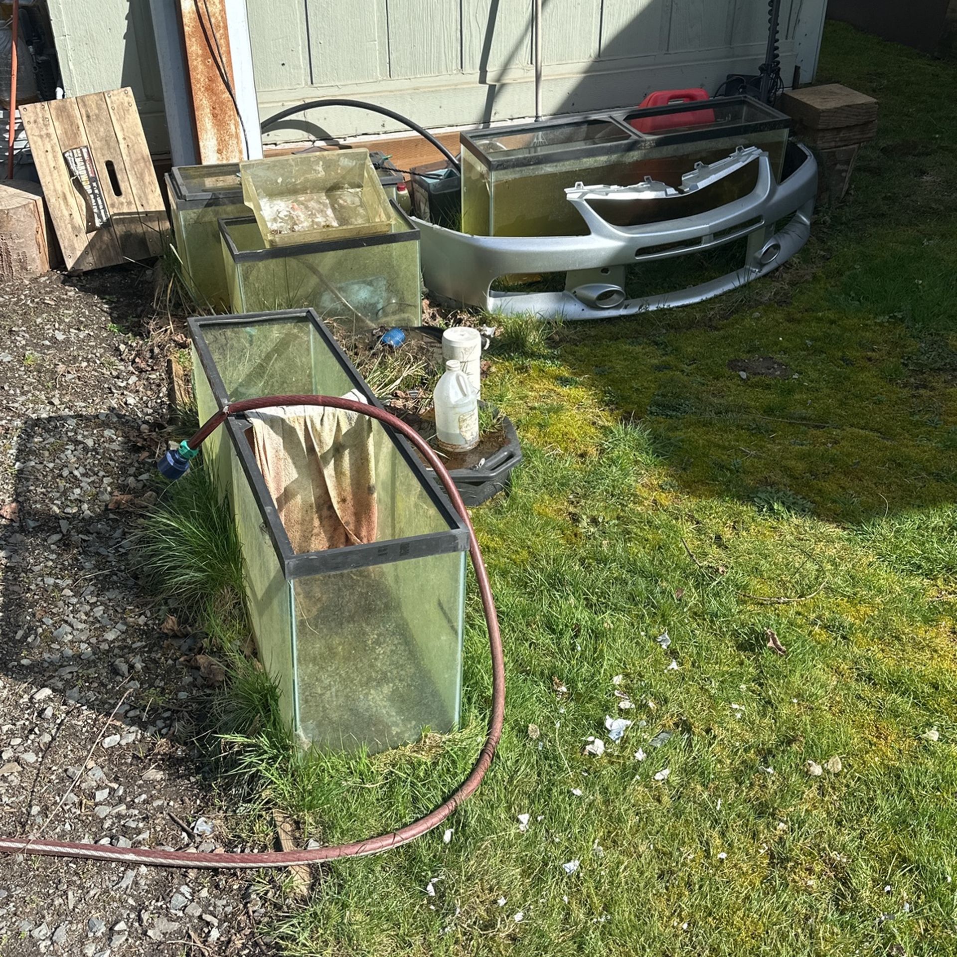 Free Fish Tanks