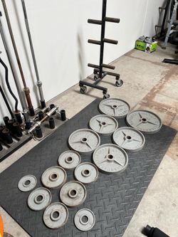 Olympic Weights with Olympic Weight Stand