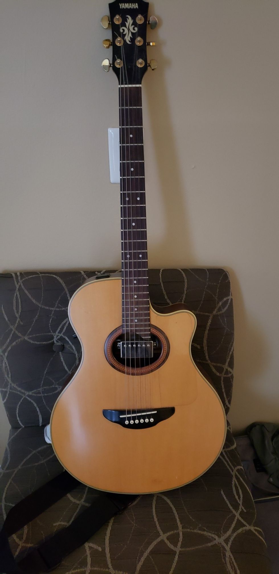 Yamaha Apx6a