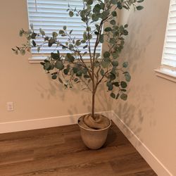 Faux Eucalyptus Tree