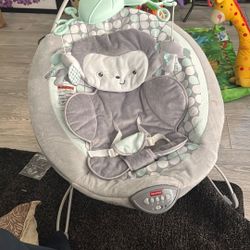Baby Bouncer