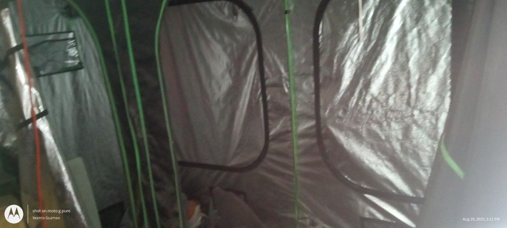 Grow Tent 
