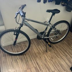 24” Mountain Bike 