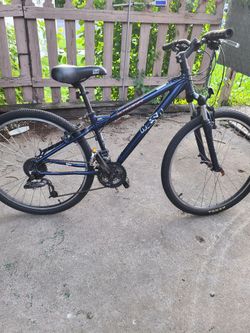 Schwinn Bike Size 26"
