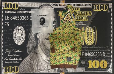 Bape Zipup