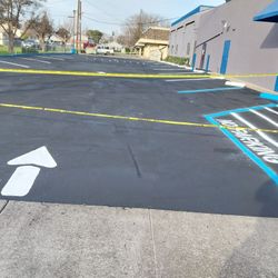 Sealcoats And Handicap ♿️ Cap Painting