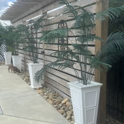 Palm Tree 4 Total Trees Only PRICE EACH