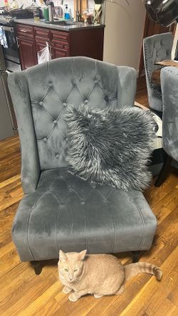 Living room chair in velvet grey