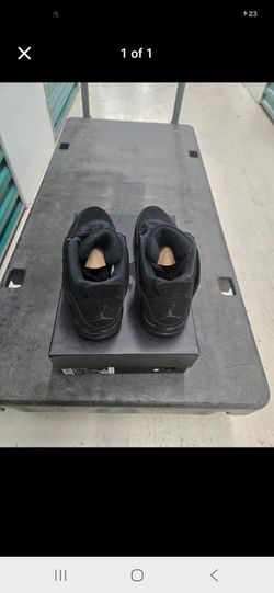 Black Cats Available