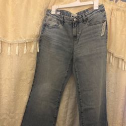 Pacsun Low Rise New Jeans 