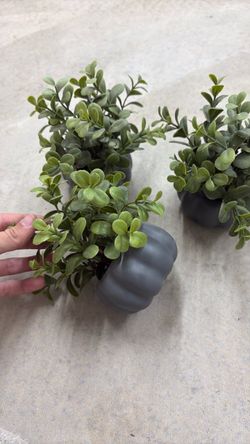 Faux Greenery in Gray Pumpkin Pots – Set of 3