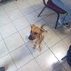 Rocio