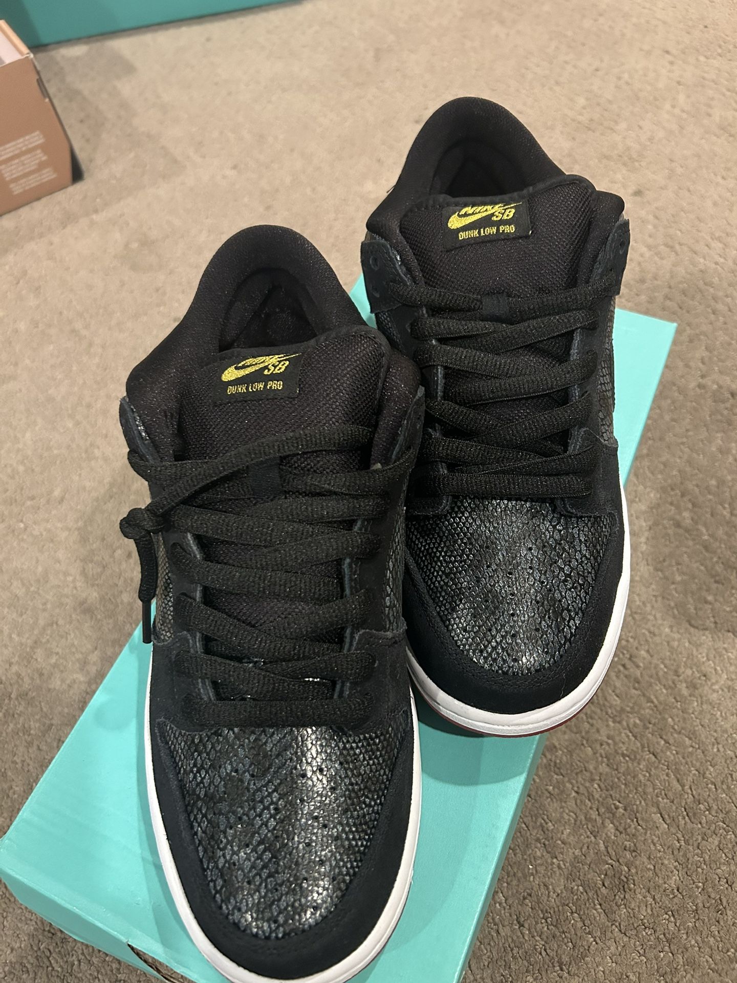 Snake Eyes Sb Dunks Deadstock SIZE 9