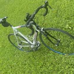 Cannondale 